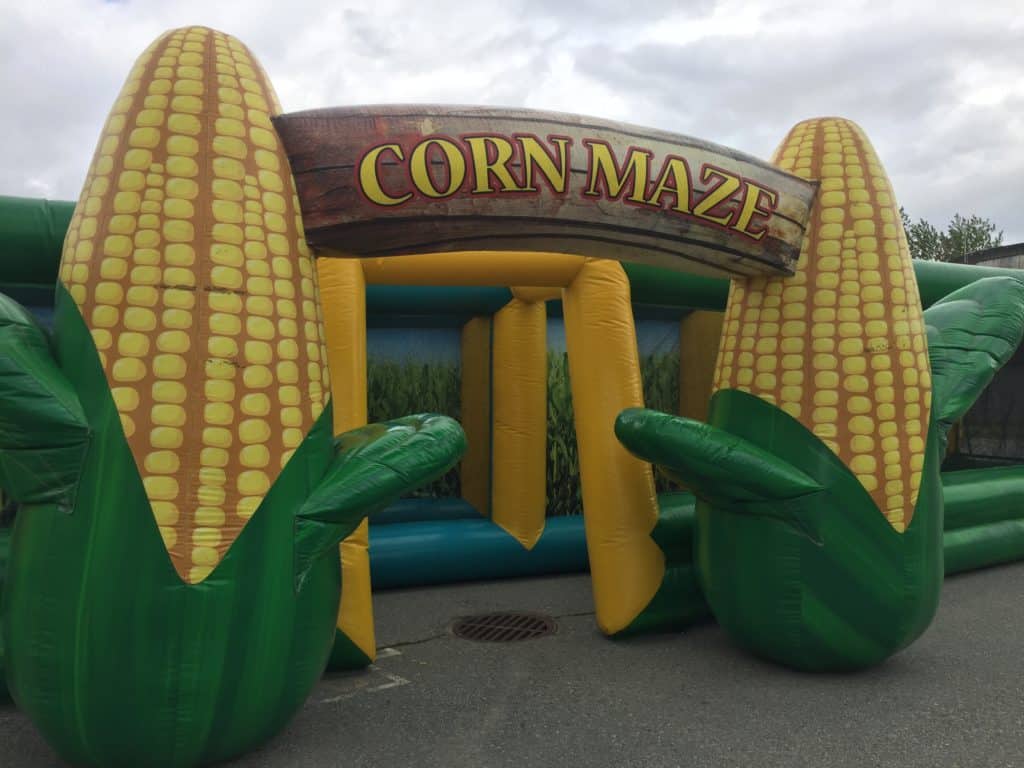 Corn Maze 3
